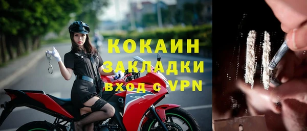 прущий лед Алзамай