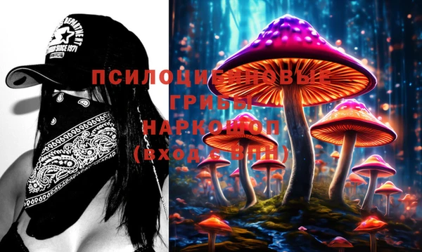 синтетический гашиш Алексин