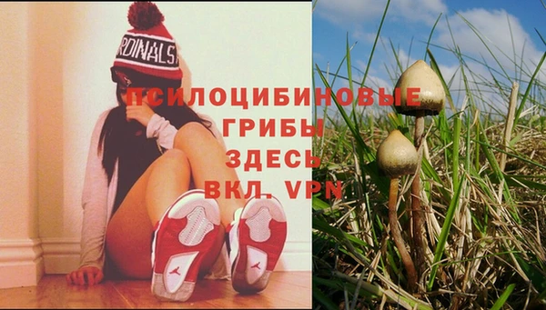 синтетический гашиш Алексин