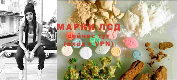 прущий лед Алзамай