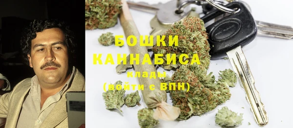 прущий лед Алзамай