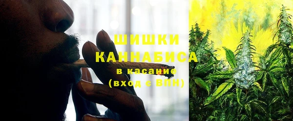 прущий лед Алзамай